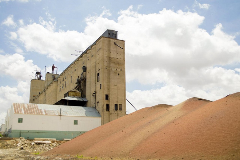 29 сентября в госфонд закупили 31,86 тысячи тонн зерна